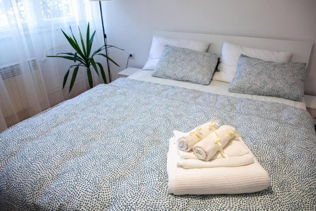Dora Apartment Nis Bagian luar foto