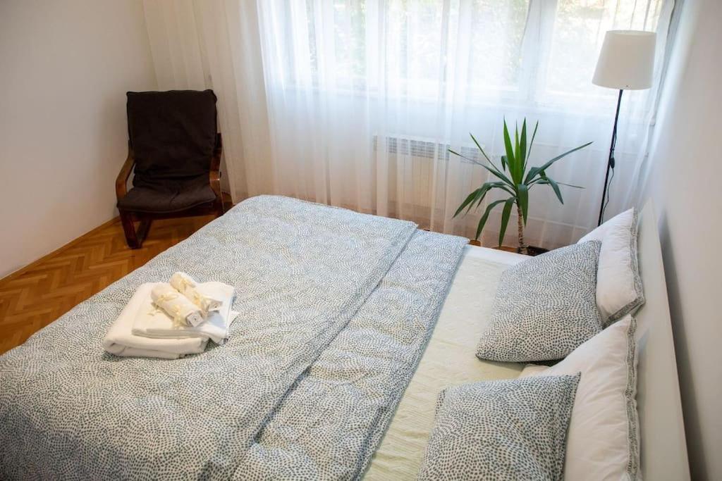 Dora Apartment Nis Bagian luar foto