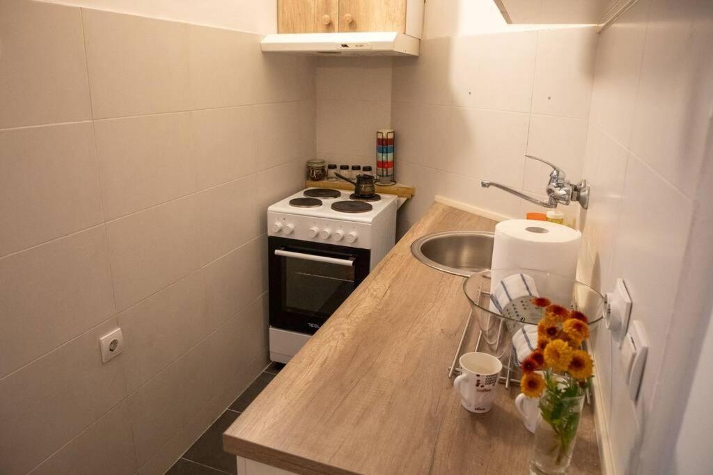 Dora Apartment Nis Bagian luar foto