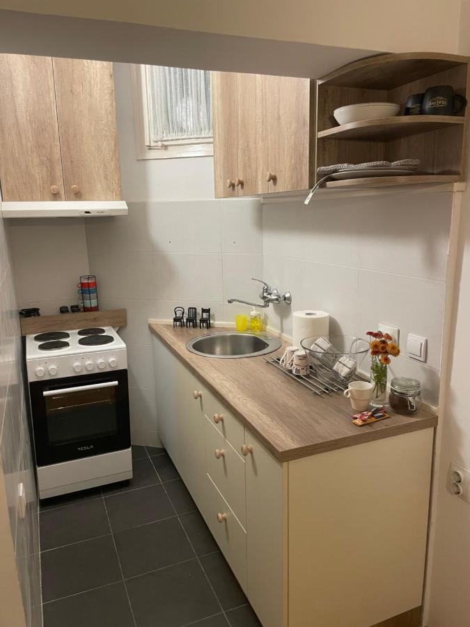 Dora Apartment Nis Bagian luar foto
